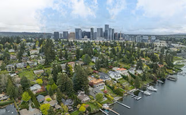 Modern Bellevue neighborhood with chimneys
