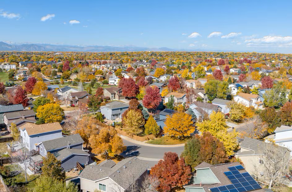 Chimney and rooftop in Broomfield, CO