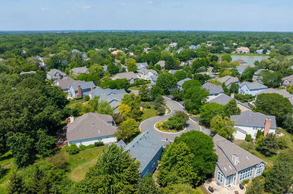 Tree-lined street in Riverwoods, IL