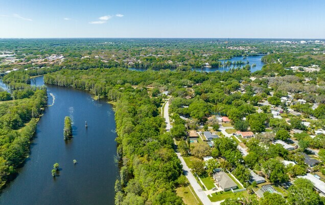 Residential chimneys along Oak Ridge Ave in Temple Terrace, FL